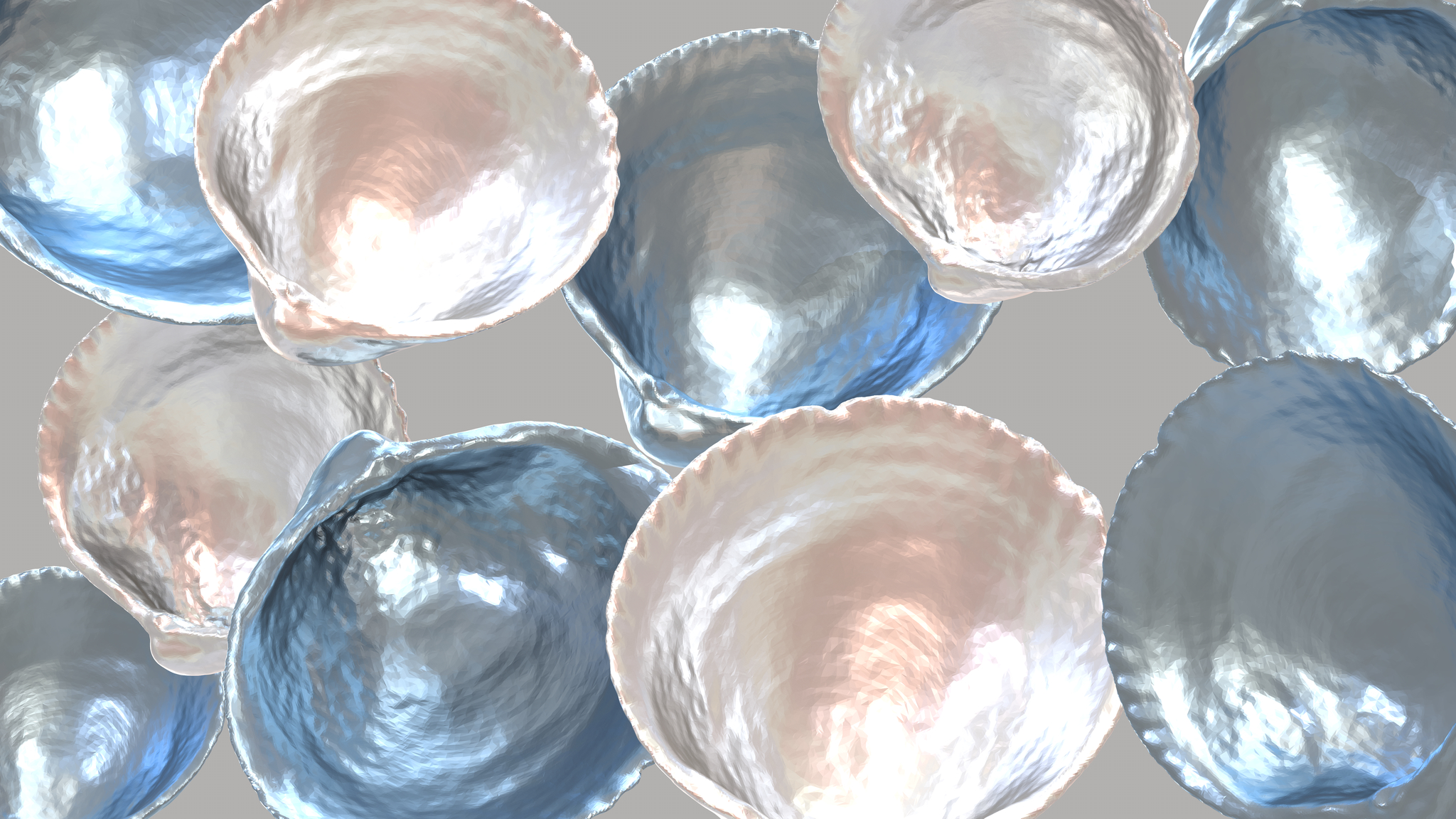 Shells