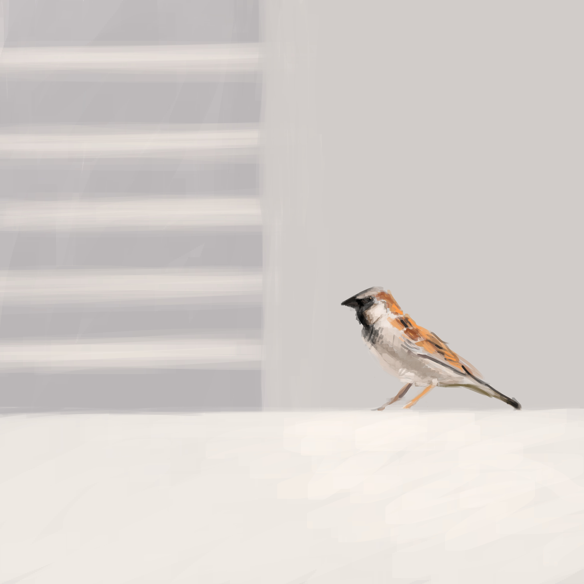 Light Sparrow